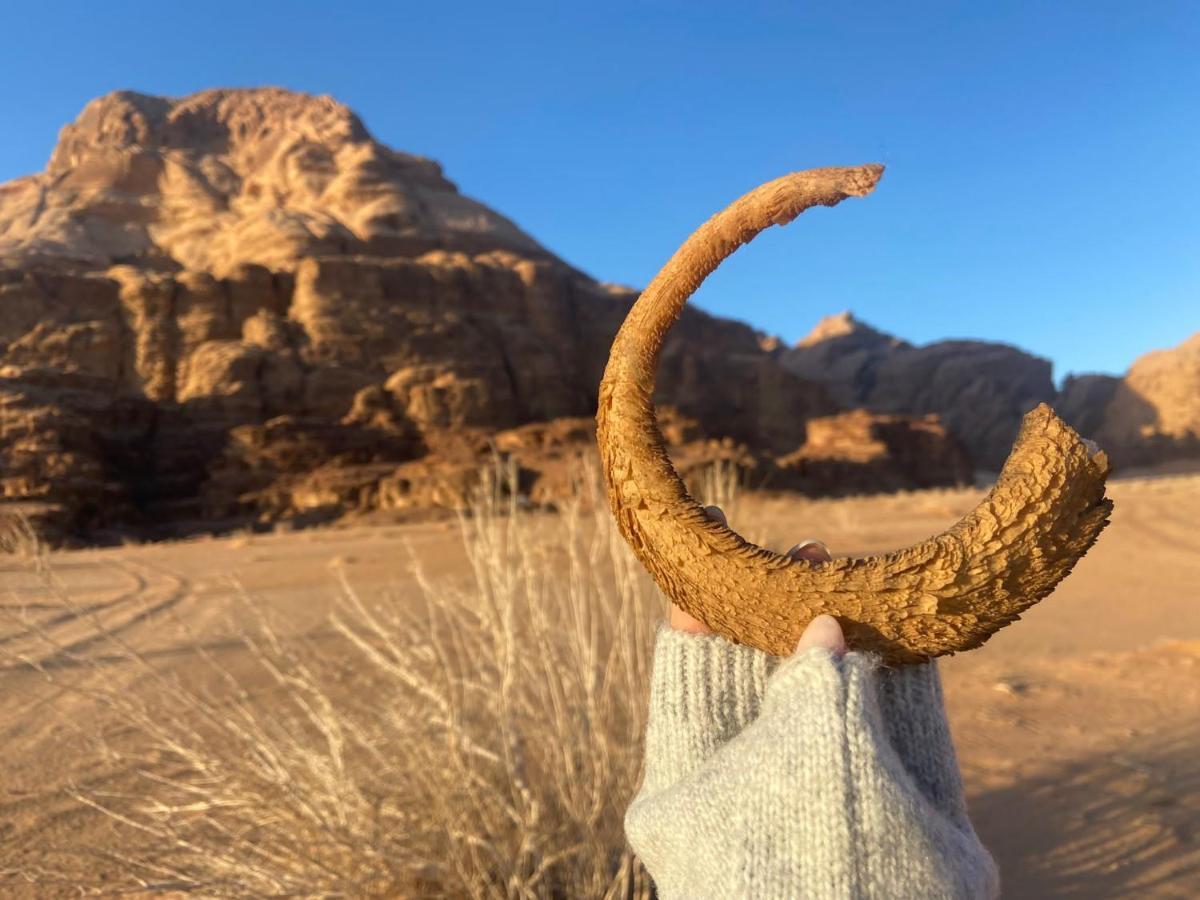 Wadi Rum Albasli Exteriér fotografie