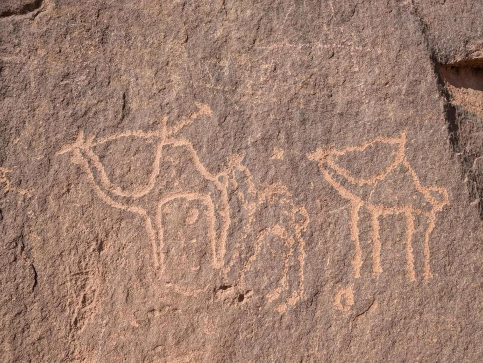 Wadi Rum Albasli Exteriér fotografie