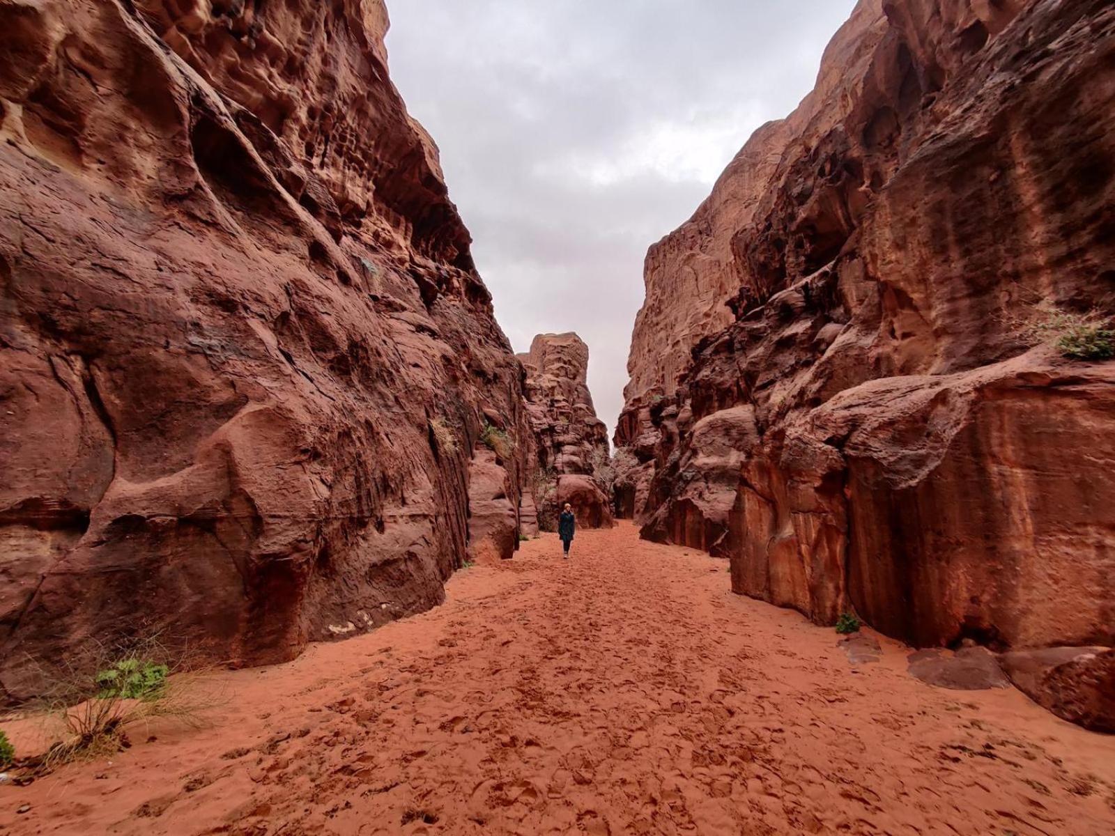 Wadi Rum Albasli Exteriér fotografie